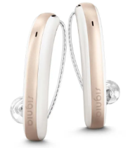 hearing aid models